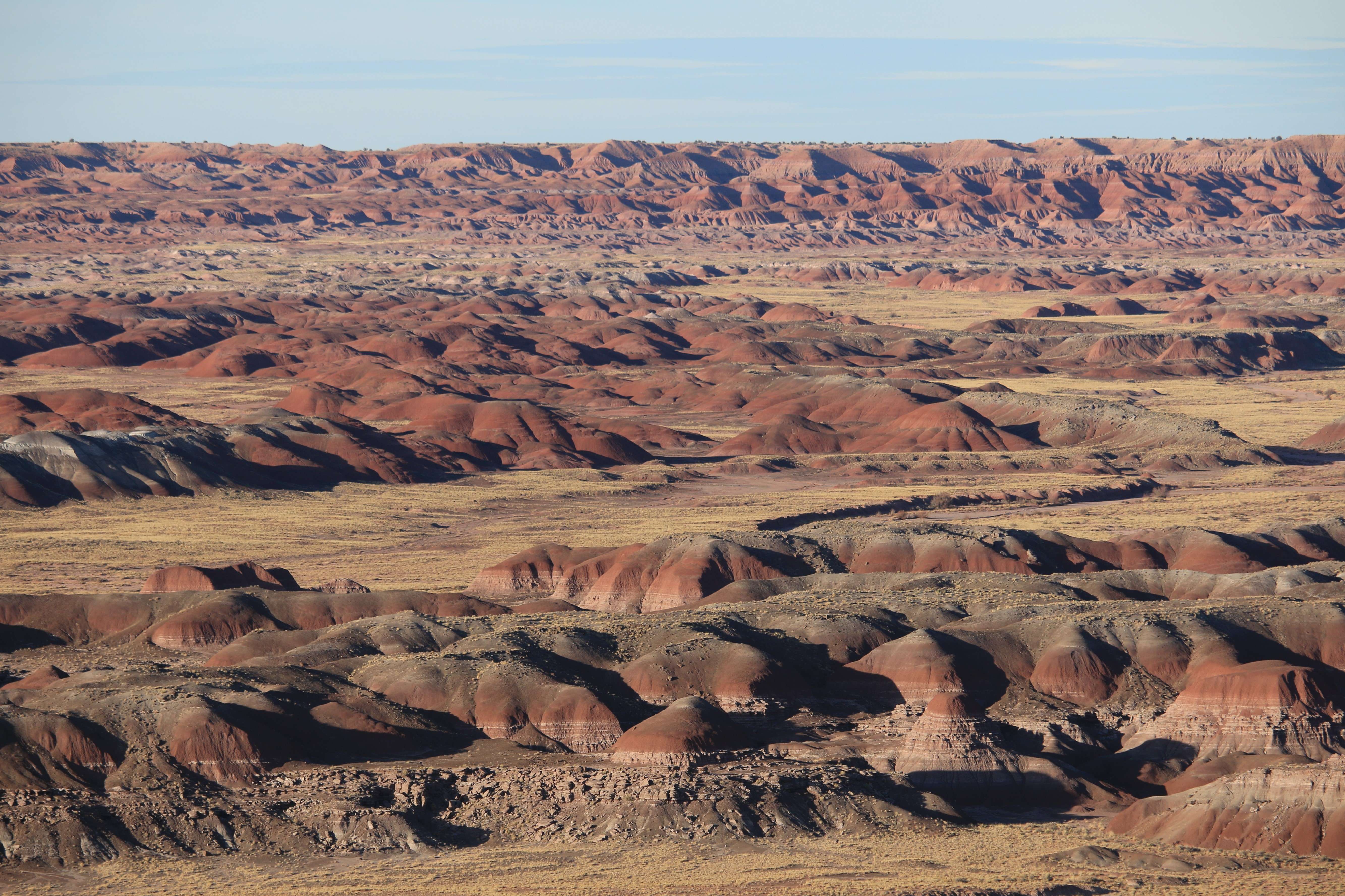 Petrified Forest NP